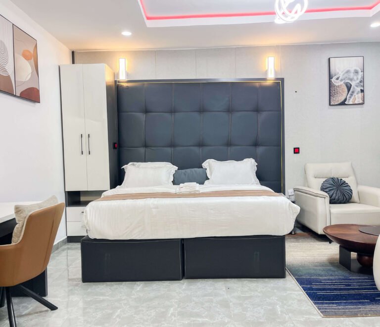 JRC Deluxe Studio Apartment (Valencia)3